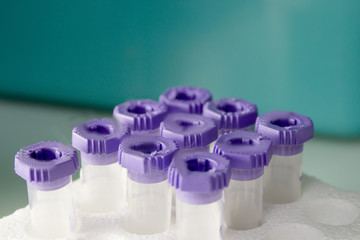 Vials for veterinary use to cure different diseases