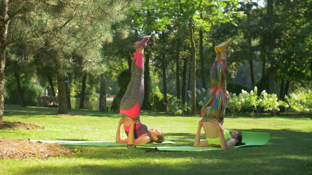 Positive sporty fit women exercising yoga supported shoulder stand pose on fitness mat on green lawn in summer park. Active attractive female friends doing shoulder stand pose outdoors during workout.