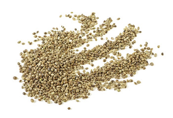 Hemp seeds on white background