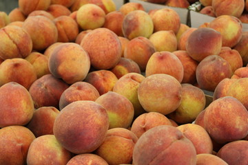 Baskets of Peaches at farm market