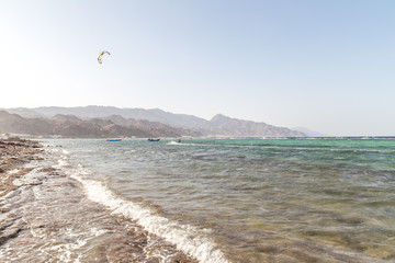 Red sea. Nabq bay