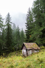 Fototapeta na wymiar Wooden mountain village house in forest.
