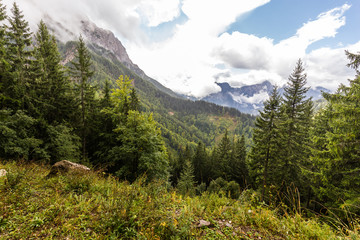 Slovenia Kamnik–Savinja Alps mountains range forest landscape.