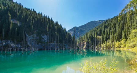 Crédence de cuisine en verre imprimé Lac / étang lac de montagne unique de Kaindy au Kazakhstan avec une forêt engloutie