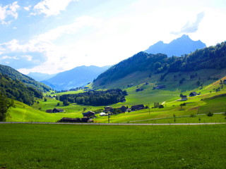Green valley on the way from Buergenstock to Stansstad, Switzerland