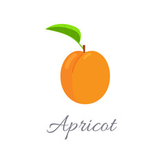Apricot icon with title