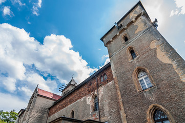 Fototapeta premium Zamek Leśna Skała, Szczytna 