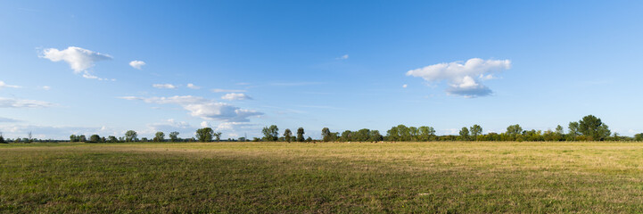 Fototapeta premium Blühende Wiesen und Felder im Spätsommer