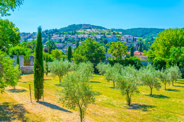 Orchard in Vaison-la-Romaine in France