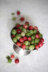 gooseberry on a white background