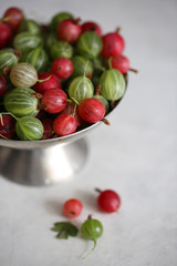 gooseberry on a white background