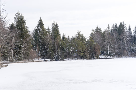 Shore of frozen Kirchsee lake, Bavaria, in winter