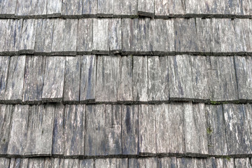 wall covered by wooden tile, texture