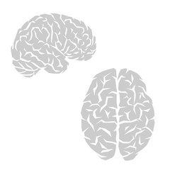 Human brain outline