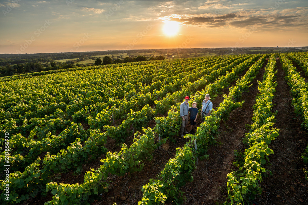 Wall mural Top view. 3 generations of winegrowers in their vines at sunset.