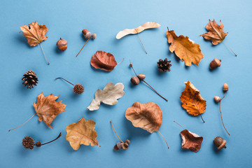 Autumn pattern made of dry leaves on blue background. Top view, autumn card concept.
