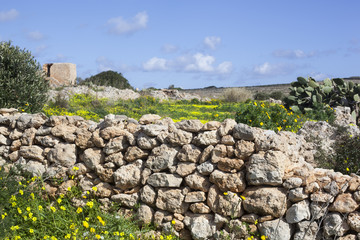 Fields on Malta