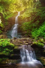 Wall murals Waterfalls Vibrant calm landscape background. Beautiful  stream waterfall in tropical rainforest, sunrise time, summer morning sun shine effect. Tranquil nature relax travel vacations wallpaper.