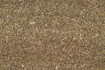 Brown sand texture on the beach. Space for text.