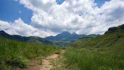 Fototapeta na wymiar Rich nature with grass and mountains, clouds, in Drakensberg Giant Castle, South Africa 