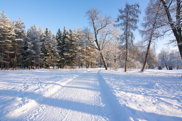 Winter in Catherine park, Tsarskoe Selo, St. Petersburg, Russia