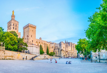 View of Palais de Papes and the cathedral in Avignon, France