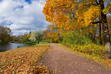 Golden fall in Alexander park, Tsarskoe Selo (Pushkin), Saint Petersburg, Russia