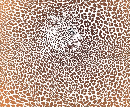 Leopard brown background
