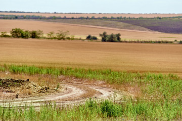 Fototapeta na wymiar dirt road in the field