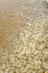 sea shoreline with waves, sandy beach on a clear sunny day, blurred nature abstract background