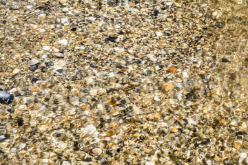 sea shoreline with waves, sandy beach with seashells on a clear sunny day, close-up nature abstract background