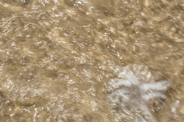 sea shoreline with waves, sandy beach with jellyfish on a clear sunny day, blurred nature abstract background