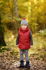 Little boy during stroll in the forest at sunny autumn day