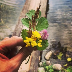 Bukiet © Shotsfactory