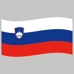 flag  slovenia  on gray background vector illustration flat 