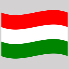 hungary  flag  on gray background vector illustration 