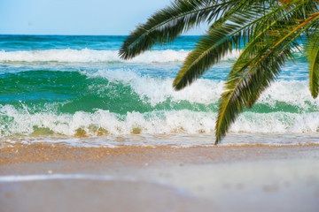 Sea , beach and palm branches