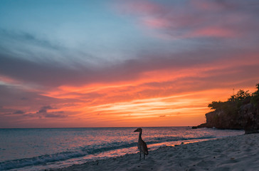   Sunset on a west coast sail  Curacao Views in the caribbean