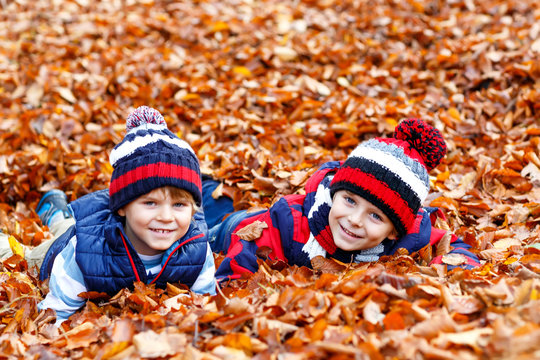 Two little twin boys lying in autumn leaves in colorful clothing. Happy siblings kids having fun in autumn forest or park on fall day. With casual fashion hats and scarfs. Friends playing together.