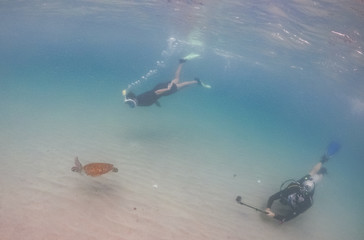    Curacao Views in the caribbean