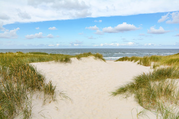 View to beautiful landscape with beach and sand dunes near Henne Strand, Jutland Denmark