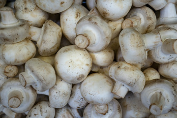 mushrooms