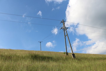 Grass field on a sunny day