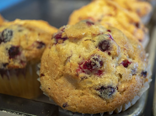 cranberry muffin