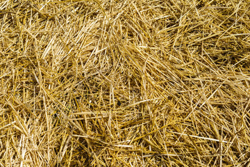homemade hay of yellow color close up