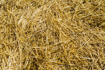 homemade hay of yellow color close up