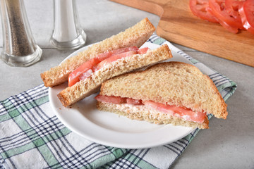Fresh tomato sandwich