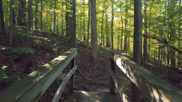 POV, walking through forest