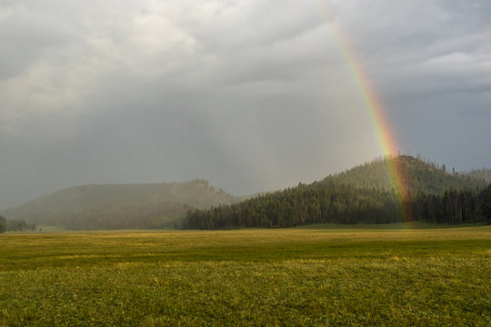 This background image of a rainbow was taken in the Williams Valley, Arizona.