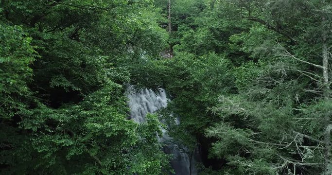 Aerial, waterfall hidden by lush forest